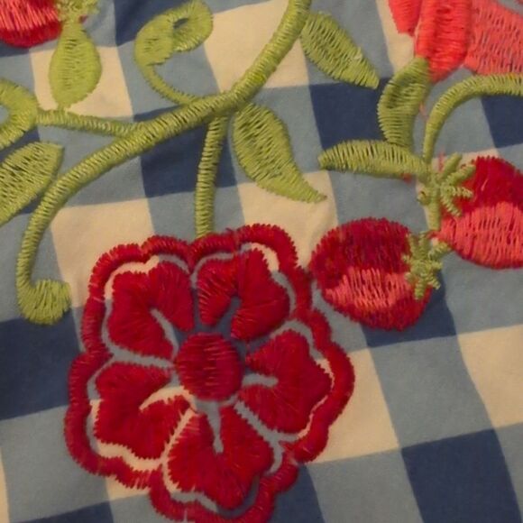 Matilda Jane Dutch Apple Skirt Large Blue Check Embroidered Strawberry Women's S - Picture 8 of 10